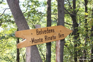 Monte Scorsone